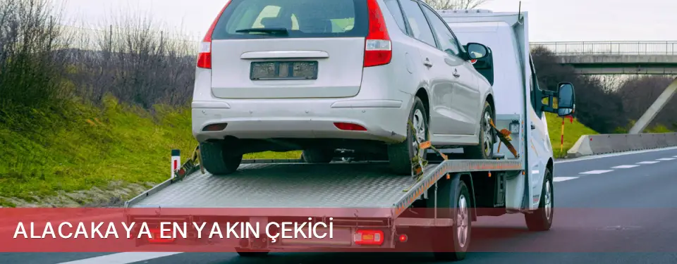Alacakaya İlçemi En Yakın Çekici