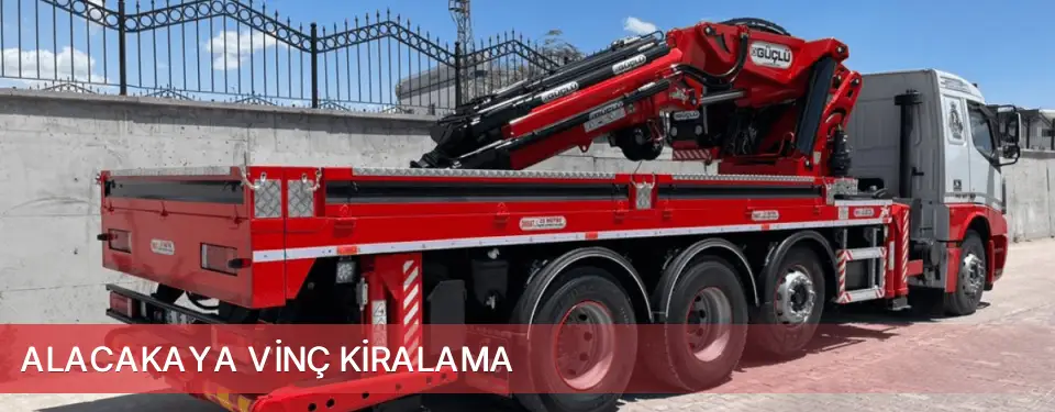 Alacakaya İlçemi Vinç Kiralama